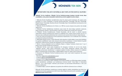 Mühendis Tek Sen Sendikaları Toplantısı Sonuç Raporu